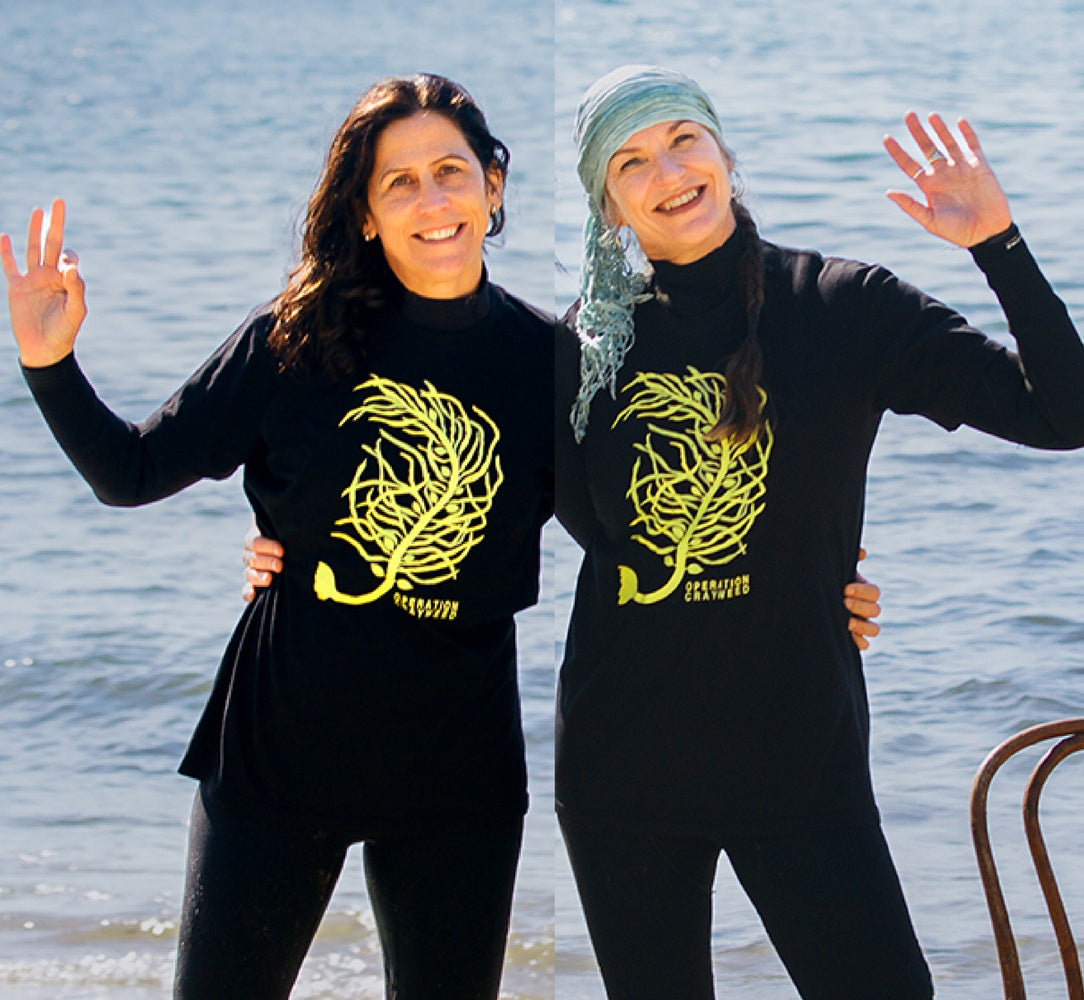 Suporting Kelp Restoration