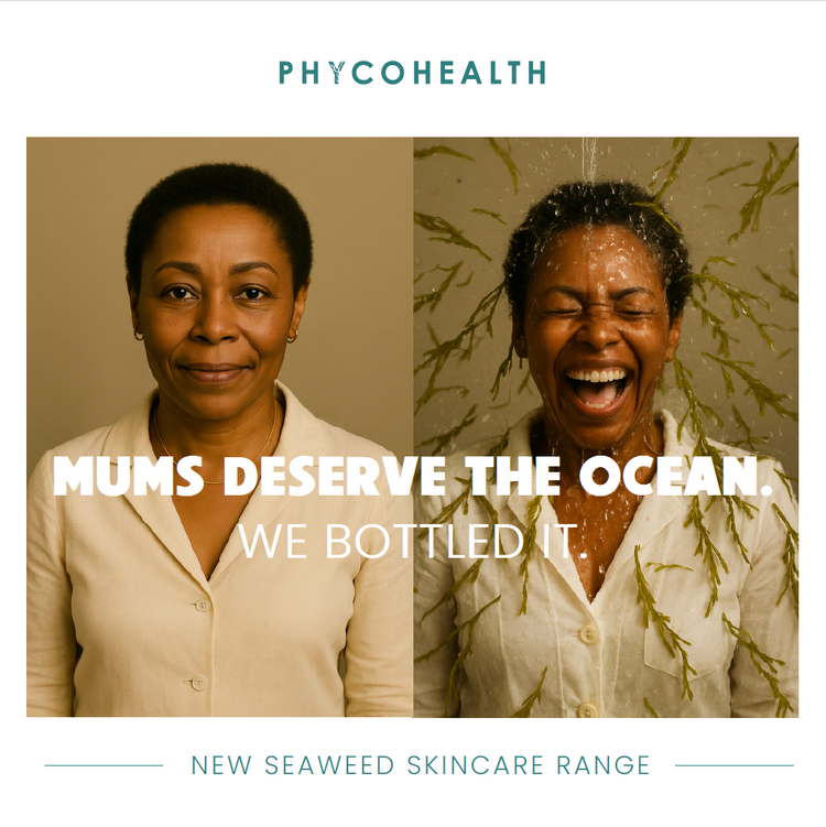 Limited Edition BIOMEBALANCE Renew Night Cream with Phyaluronic acid