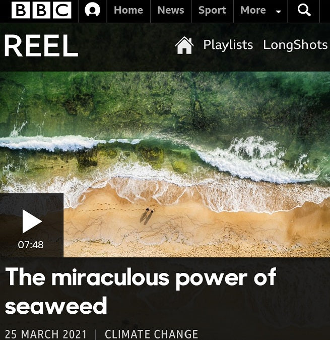 BBC Reel's Miraculous Power of Seaweed
