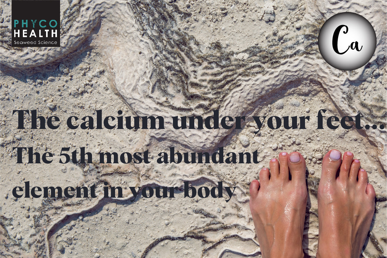 Mineral number 5 is alive in all living things and not just bones
