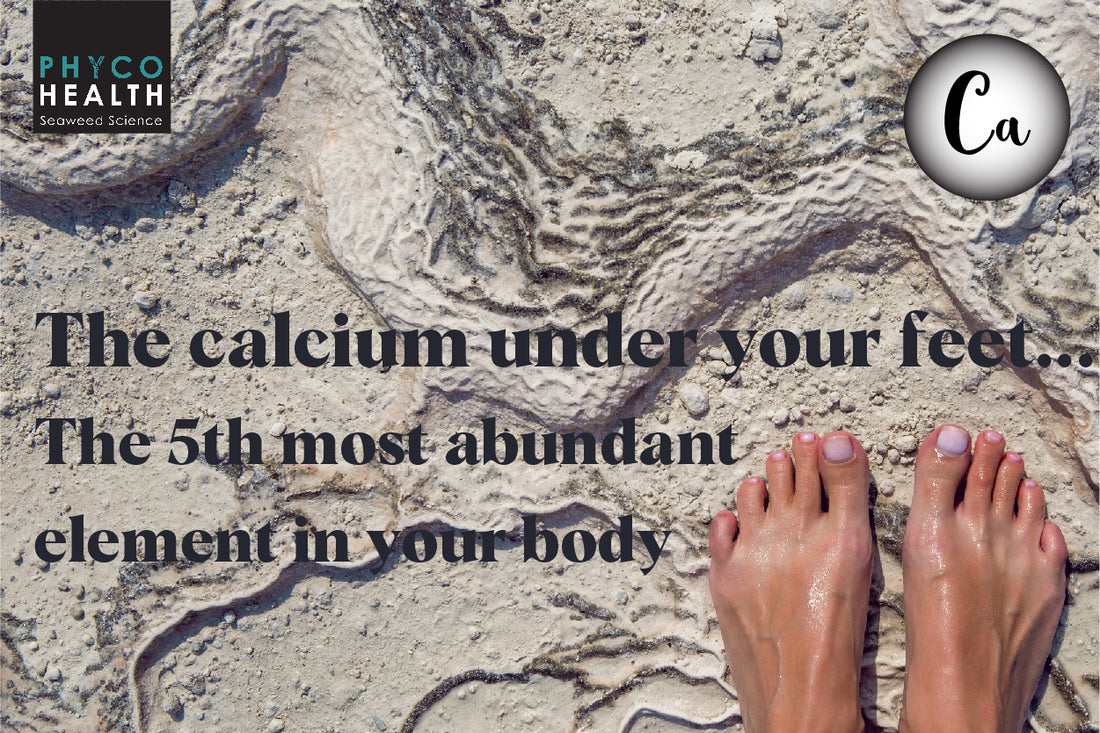 Mineral number 5 is alive in all living things and not just bones