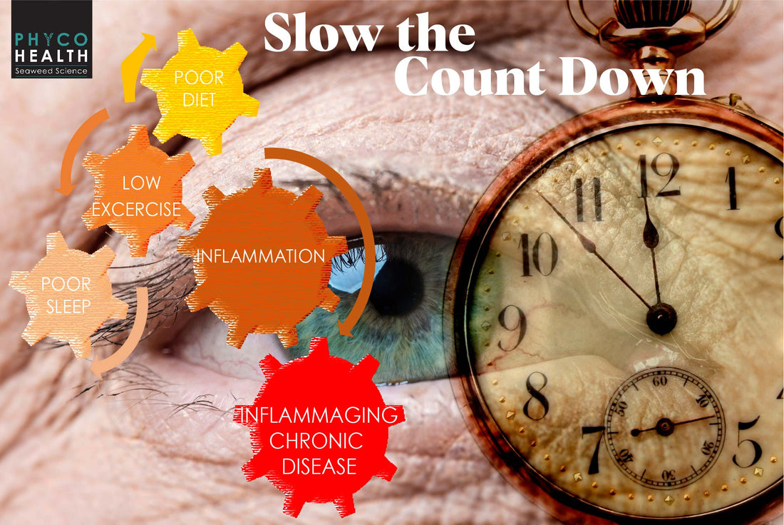 The good, the bad and the ugly of inflammation