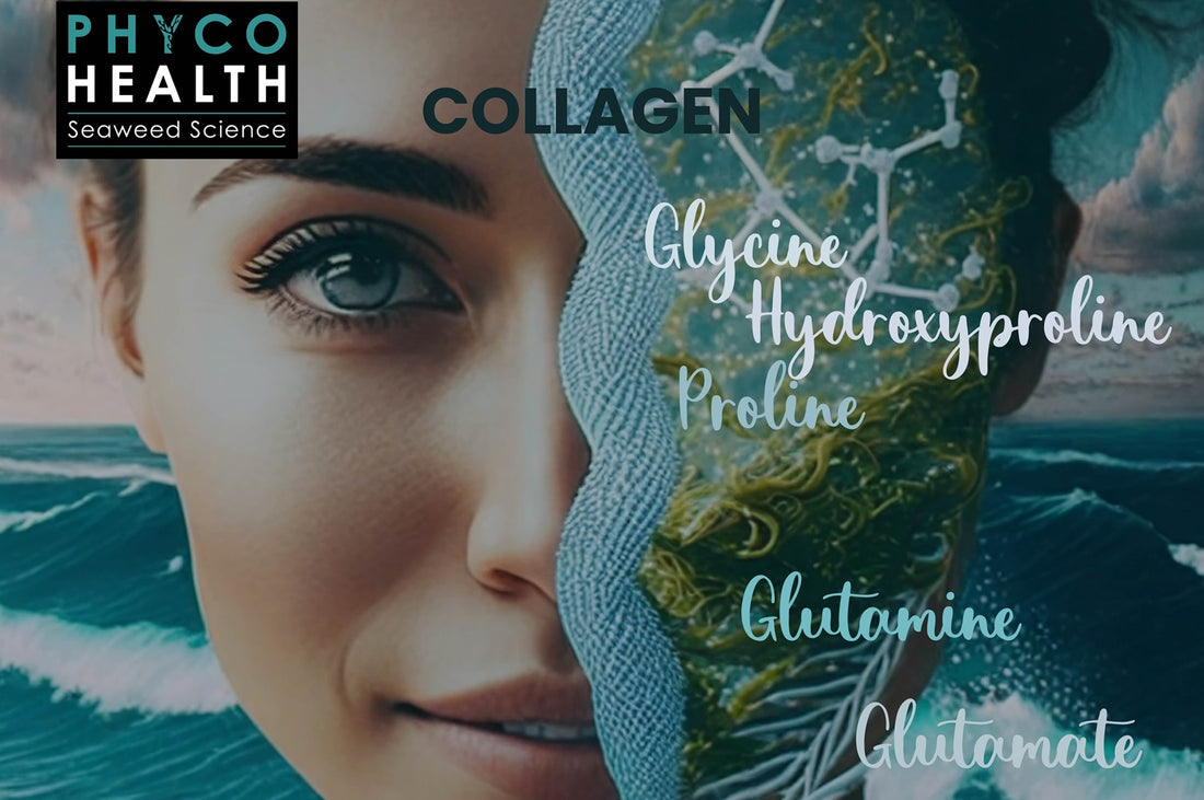 Understanding Collagen Synthesis and Dietary Support for Tissue Health