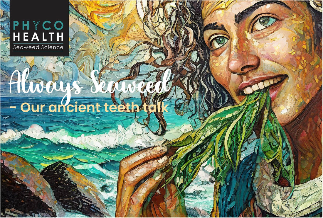 Humans and Seaweed: A Voyage Through Time and Teeth