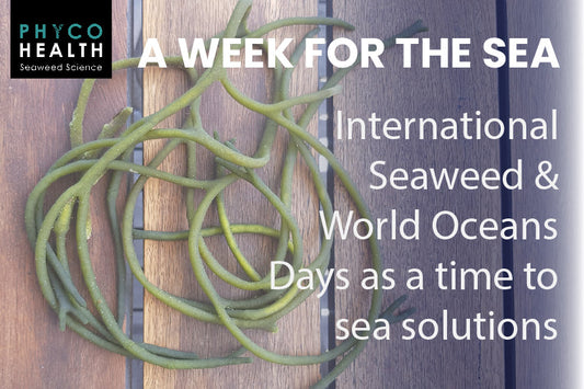 Embracing the Ocean with Seaweed: Our Commitment at PhycoHealth