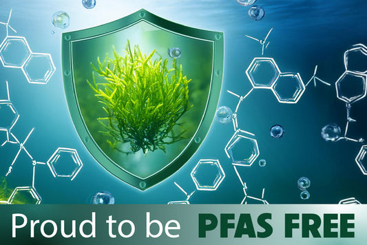 Ensuring the Safety of Our Seaweed: PFAS-Free and Proud