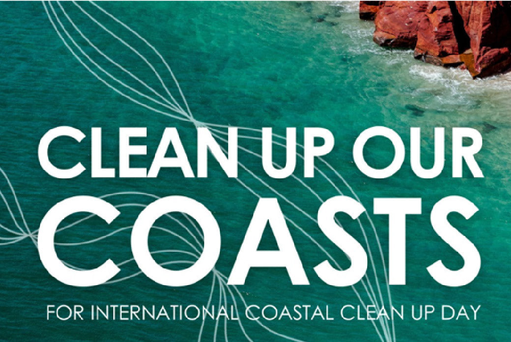 International Coastal Clean Up Day: Reshaping a Chemical Legacy ...