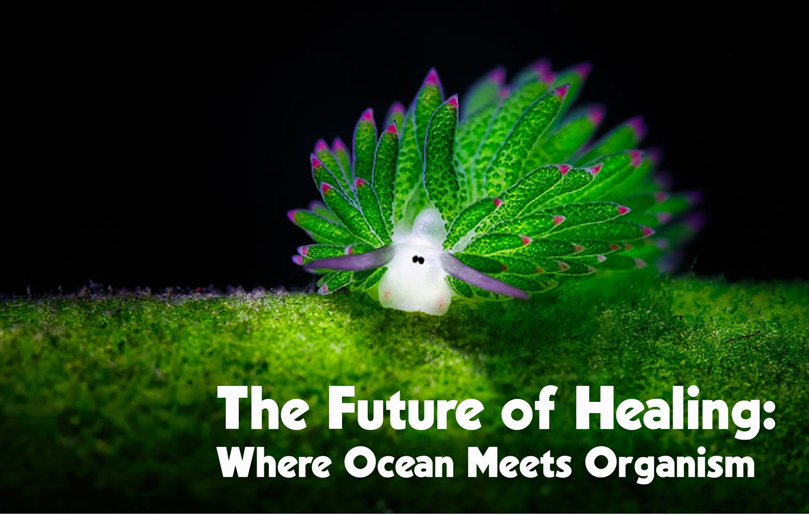 From Sea to Skin: Sharing the Science Behind the Scenes