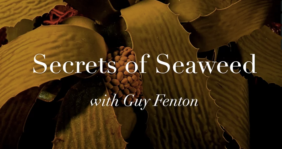 Secrets of Seaweed