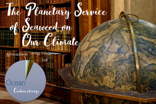 Service of Seaweed Part I: Our Climate