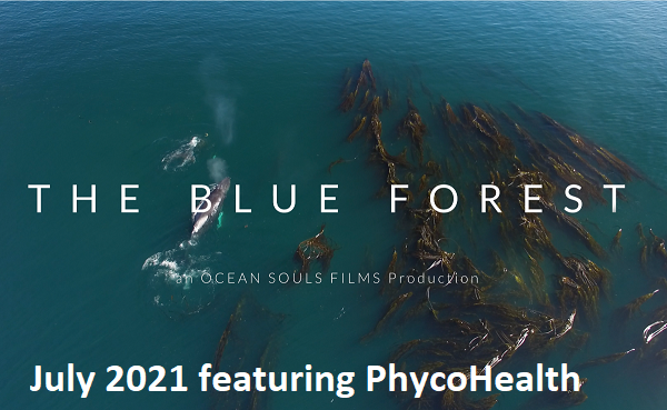 The Blue Forest Featuring Phycohealth