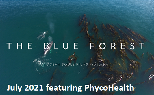 The Blue Forest Featuring Phycohealth