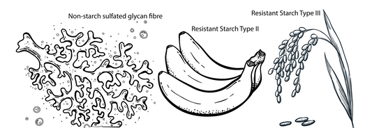 Fibre diversity is key