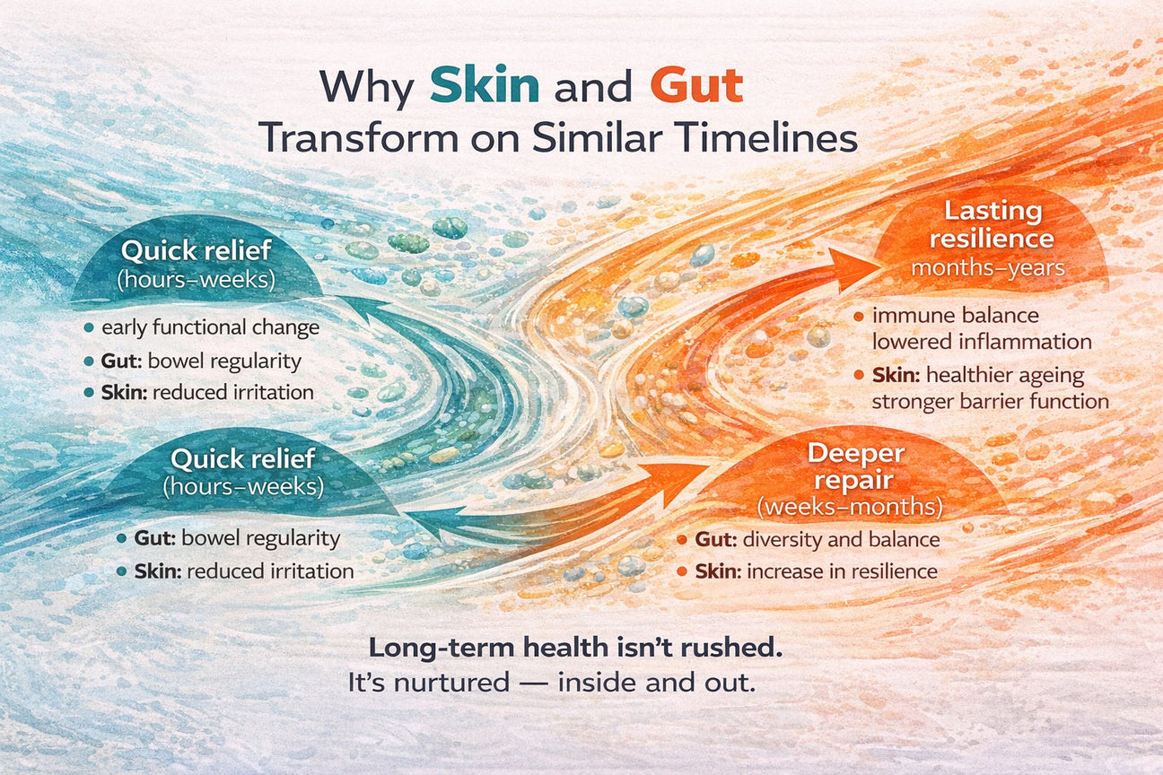 Inside and Out: Why Skin and Gut Heal on Similar Timelines