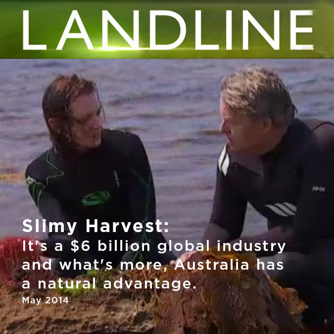 ABC Landline 2014