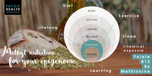 Embracing the 'omes - Part II: Reswitching your epigenome