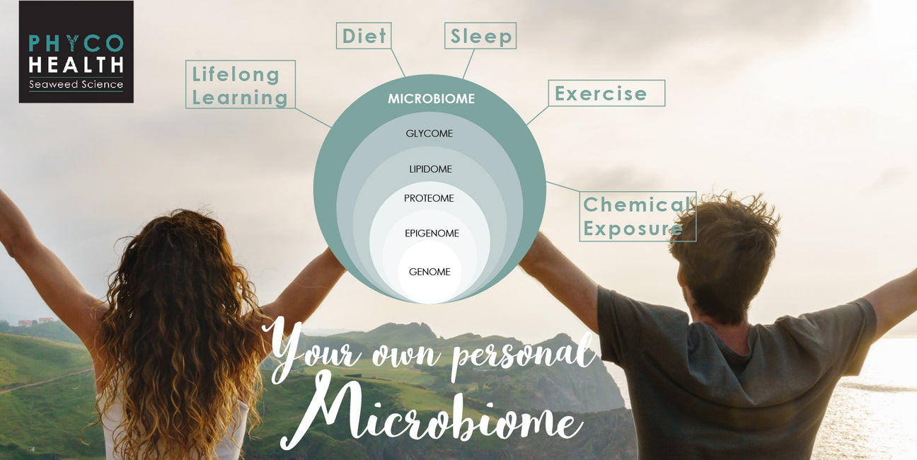 Seaweed and your microbiome by PhycoHealth