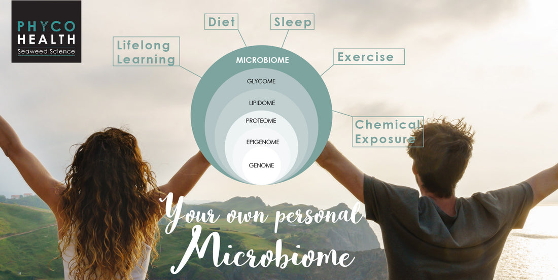 Seaweed and your microbiome by PhycoHealth