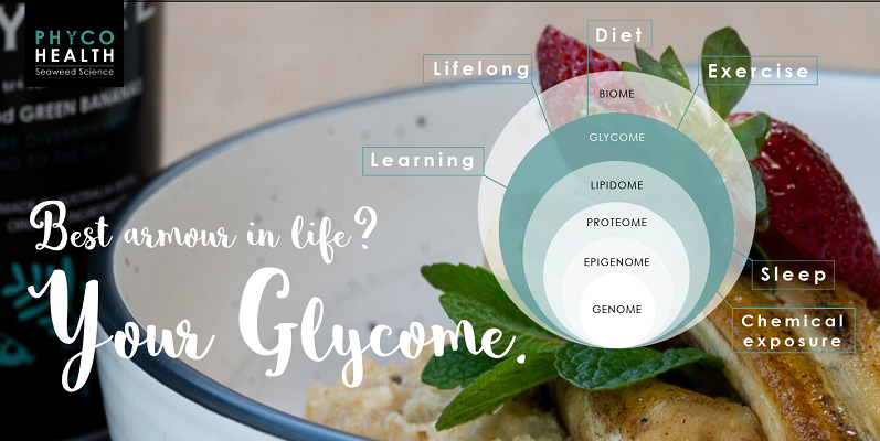 Embracing the 'omes - PART V - Reinforce that Glycome