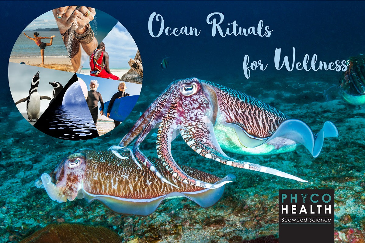 Ocean Ritual Don't underestimate the Rituals for Health