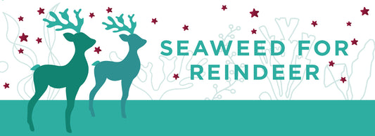 Seaweed for reindeer