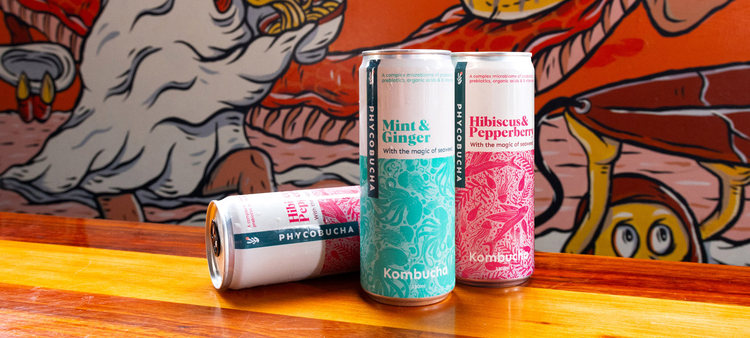 PhycoBucha - kombucha with the magic of seaweed