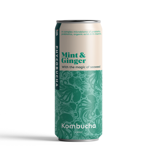 PHYCOBUCHA - Mint & Ginger