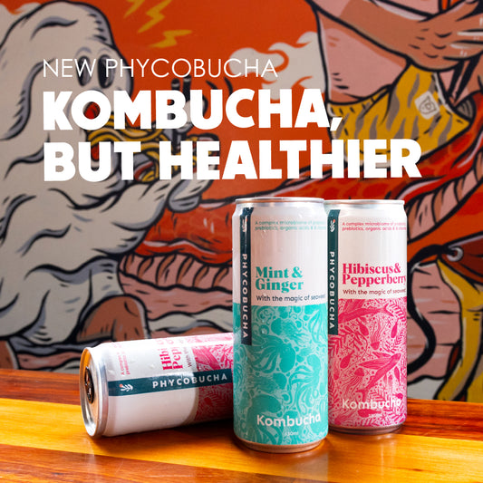 PHYCOBUCHA - Mint & Ginger