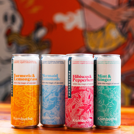 PHYCOBUCHA - Mermaid Lemonade