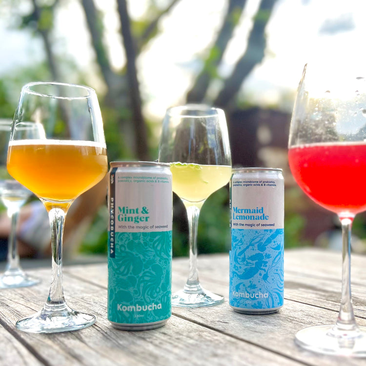 PHYCOBUCHA - Mint & Ginger