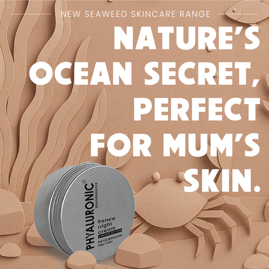 Limited Edition BIOMEBALANCE Renew Night Cream with Phyaluronic acid
