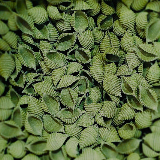 SEA SHELLS seaweed pasta