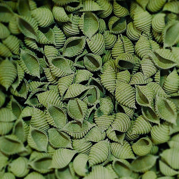 SEA SHELLS seaweed pasta
