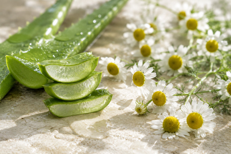 Aloe Vera & Chamomile