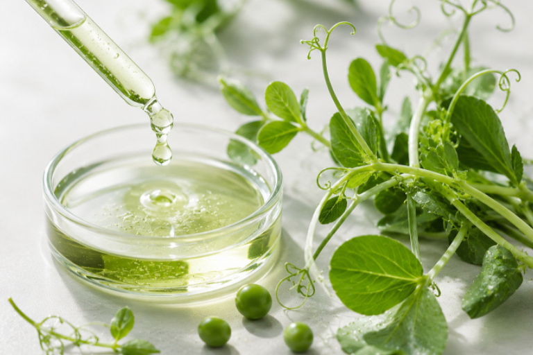Pea Sprout Extract